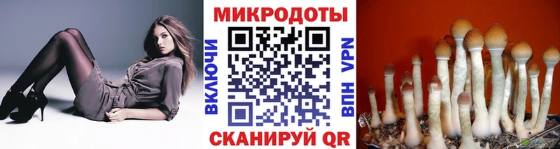 ссылка на мегу как зайти  Гаврилов Посад  Псилоцибиновые грибы ЛСД 